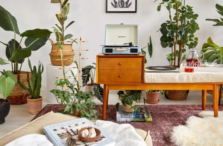 Bring a lot of plants inside