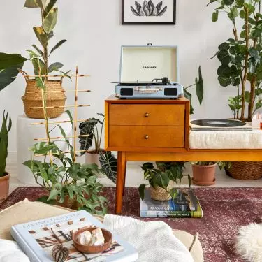 Bring a lot of plants inside