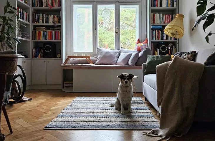 The interior is also inhabited by the dog Florcia