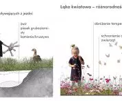 Transformation of Juliusz Kossak Square, diagrams of project formation