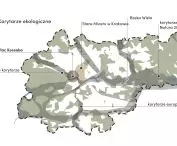 Environmental conditions of Kraków