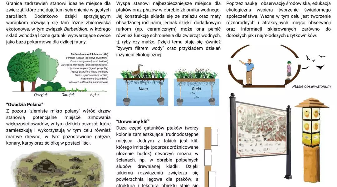 Wyróżnienie (ex aequo), prezentacja
