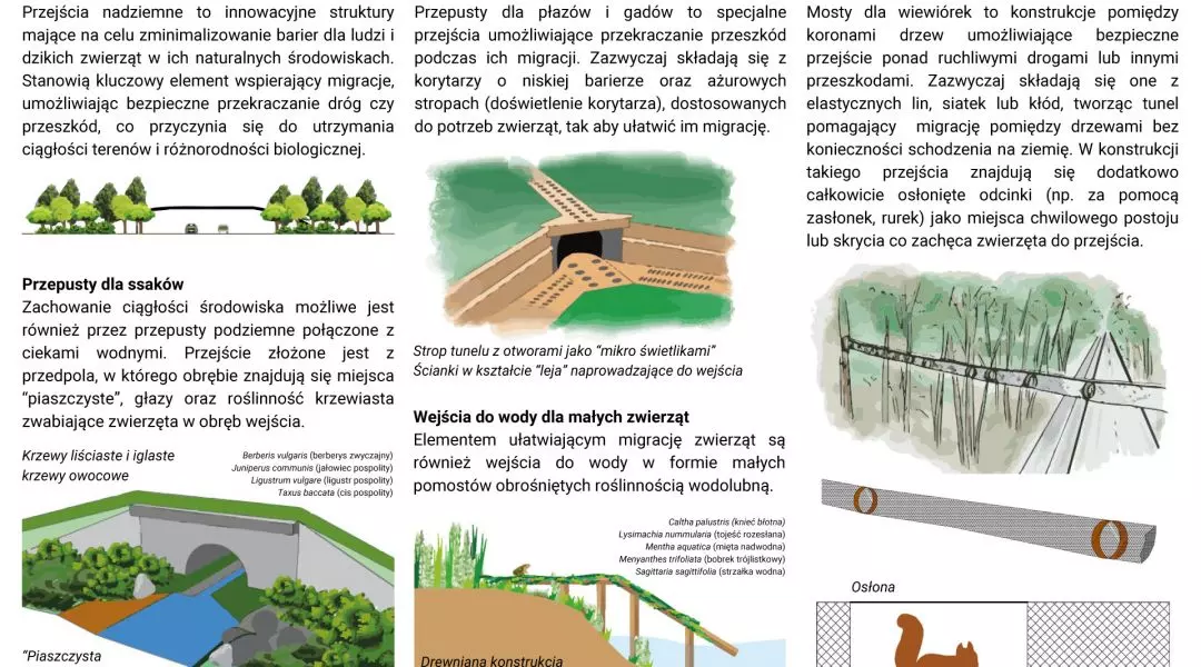 Wyróżnienie (ex aequo), prezentacja