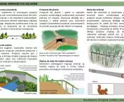 Wyróżnienie (ex aequo), prezentacja
