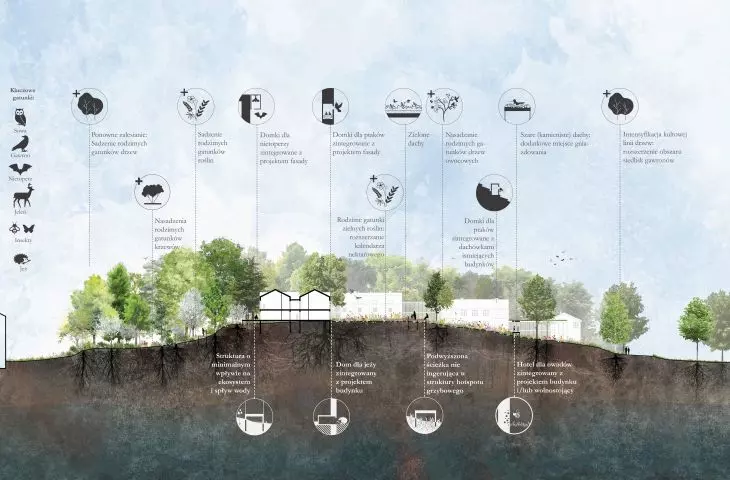 Way to Care project, cross section