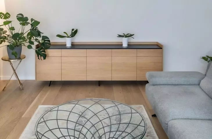 Grey sofas have a minimalist form
