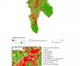 example of urban heat island study