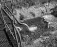 Drainage system from Konin Lignite Mine in Tomislawice