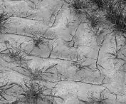 A dried-up ditch irrigating farmland near Poznań 
