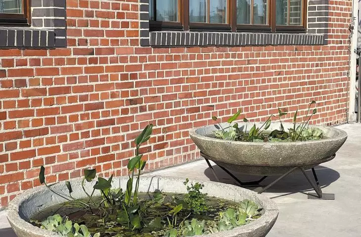 Pots planted by Aleksandra Grzonkowska in front of NOMUS New Museum of Art in Gdansk.