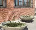 Pots planted by Aleksandra Grzonkowska in front of NOMUS New Museum of Art in Gdansk.