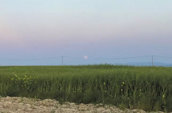 Earth's shadow near Krakow 03.06.2023 