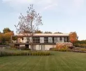 view from the garden