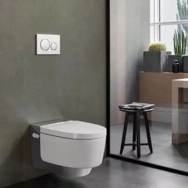 The washing toilet combines the functions of a toilet and a bidet
