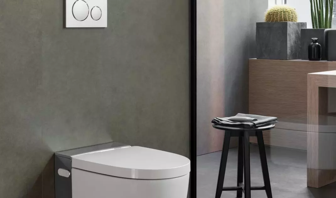 The washing toilet combines the functions of a toilet and a bidet