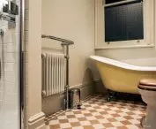 Ag Cast Iron Line Radiators, Vivian