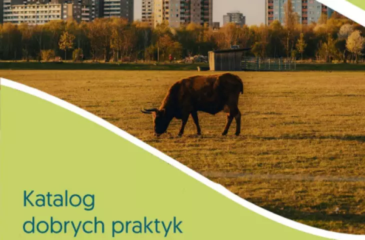autorami katalogu są