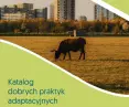 autorami katalogu są