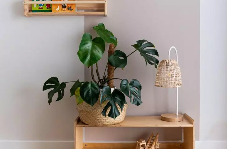 The curved form delineates a zone for storage