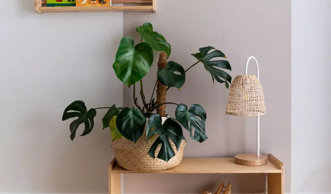 The curved form delineates a zone for storage