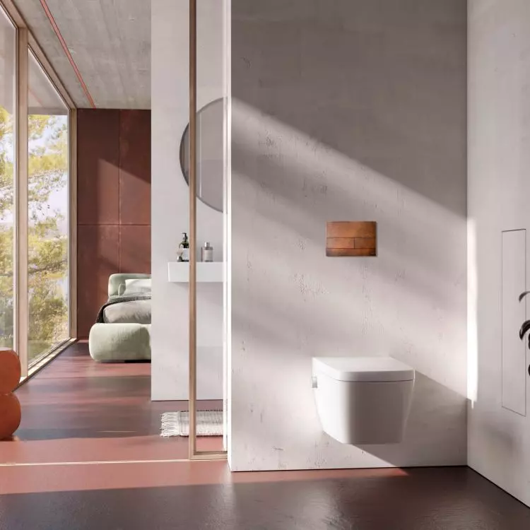 An interesting flush button can be a bathroom decoration