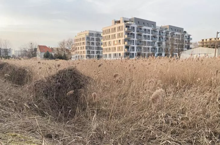 Highland reed beds and new multi-family developments; 