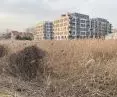 górczyńskie trzcinowiska i nowa zabudowa wielorodzinna; „zabetonowanie” naturalnych ekosystemów sprawia, że tracimy je na zawsze