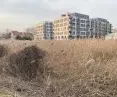 Highland reed beds and new multi-family developments; 