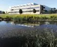 staw przy Collegium Politicum na Kampusie Morasko w Poznaniu w Dolinie Różanego Potoku 