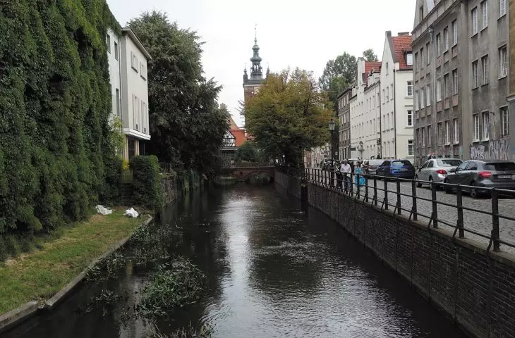 nawet ujęta w betonowy kanał rzeka tworzy nowy ekosystem na obszarze wielkomiejskim; kanał Raduni, Gdańsk 