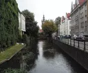 Even captured in a concrete channel, the river creates a new ecosystem in a metropolitan area; Radunia Canal, Gdansk 