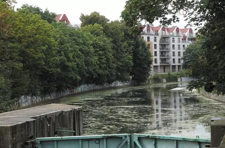 historyczne fortyfikacje w Gdańsku są interesującym przykładem przejęcia dzieła rąk ludzkich przez naturę; Nowa Motława przy Kamiennej Śluzie, Gdańsk