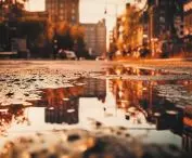 Without urban retention, it will be increasingly difficult for us to respond to dynamic climate change 