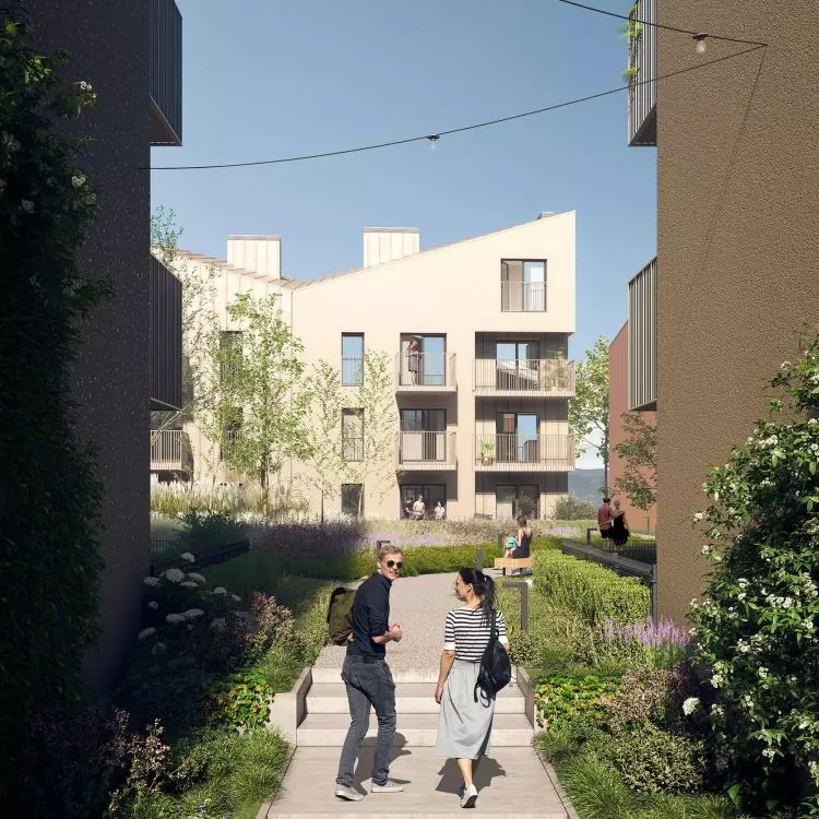 Vision: Medusa Group. Developer: TDJ Estate