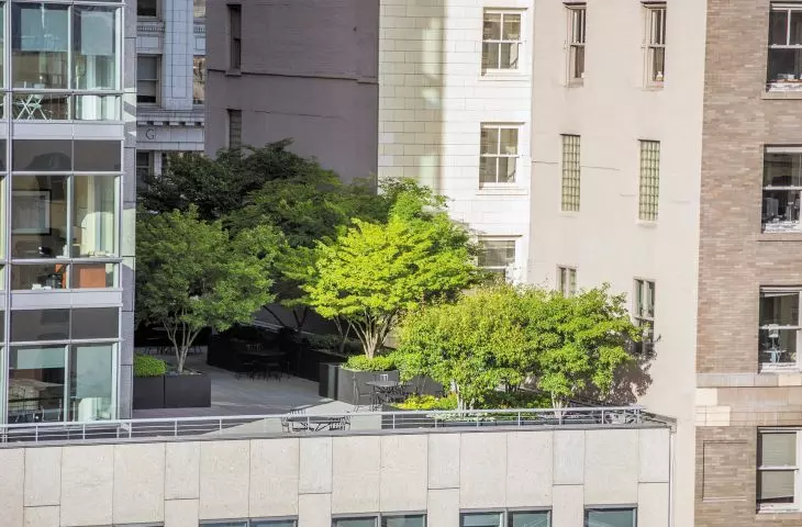 treatments to build green roofs are definitely insufficient, sometimes even implemented by force 