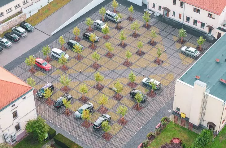 greenery buffer zones were made around the plantings