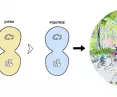 direction of cooperative development 