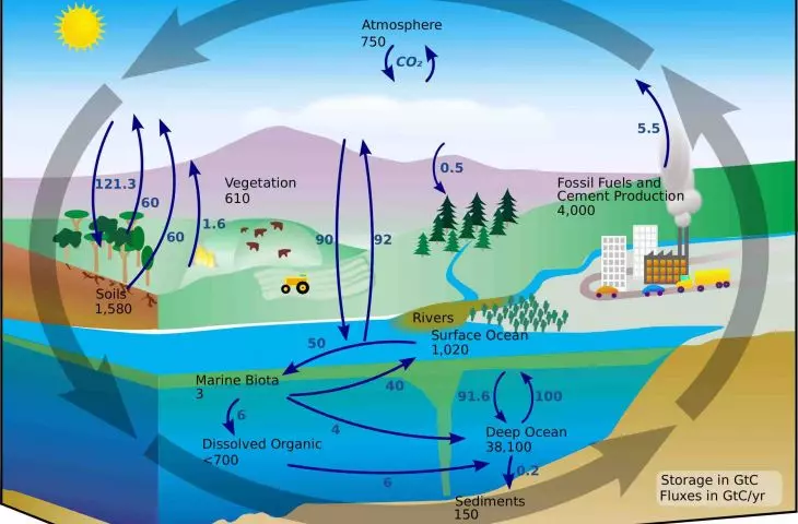 Carbon (element) flow in billions of tons per year
