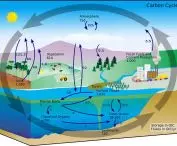 Carbon (element) flow in billions of tons per year