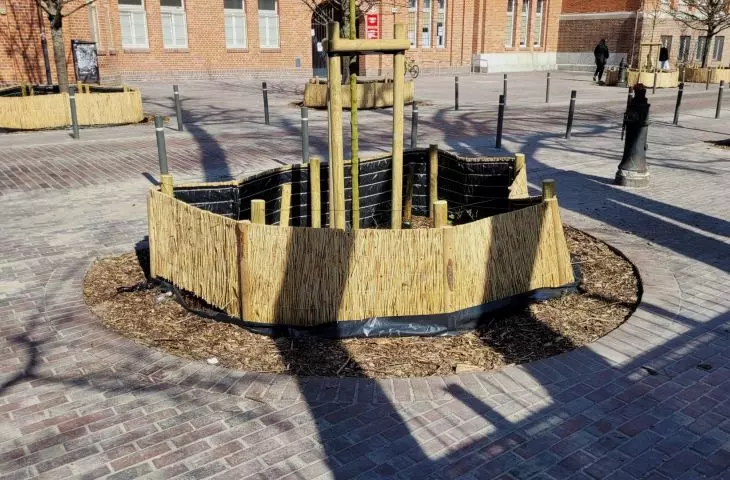 ulica Słowackiego przed SP 36 w Poznaniu