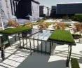 Tak prezentuje się zmieniony projekt, po uzgodnieniach z konserwatorem