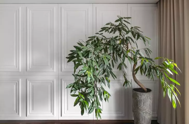 Subdued colors dominate the interiors