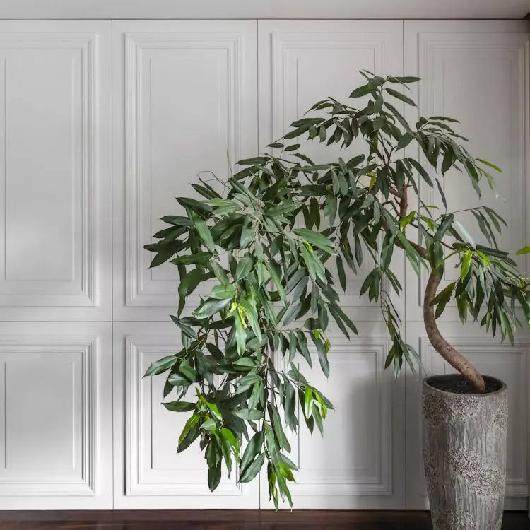 Subdued colors dominate the interiors