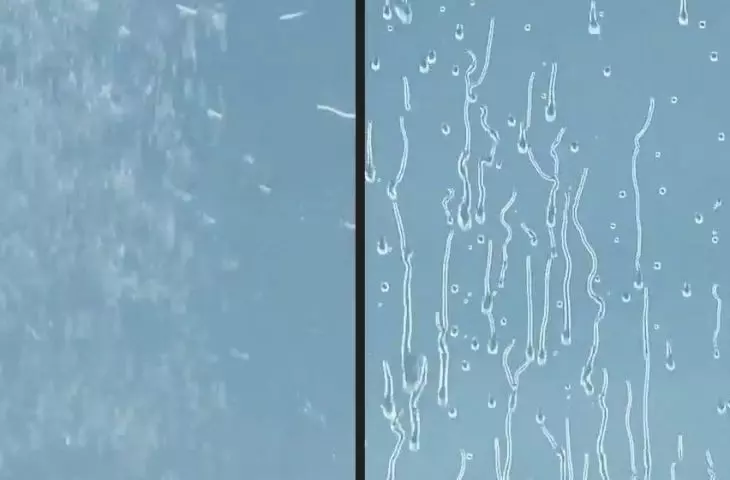 Porównanie — po lewej zwykła szyba, po prawej szkło ze specjalną warstwą hydrofobową
