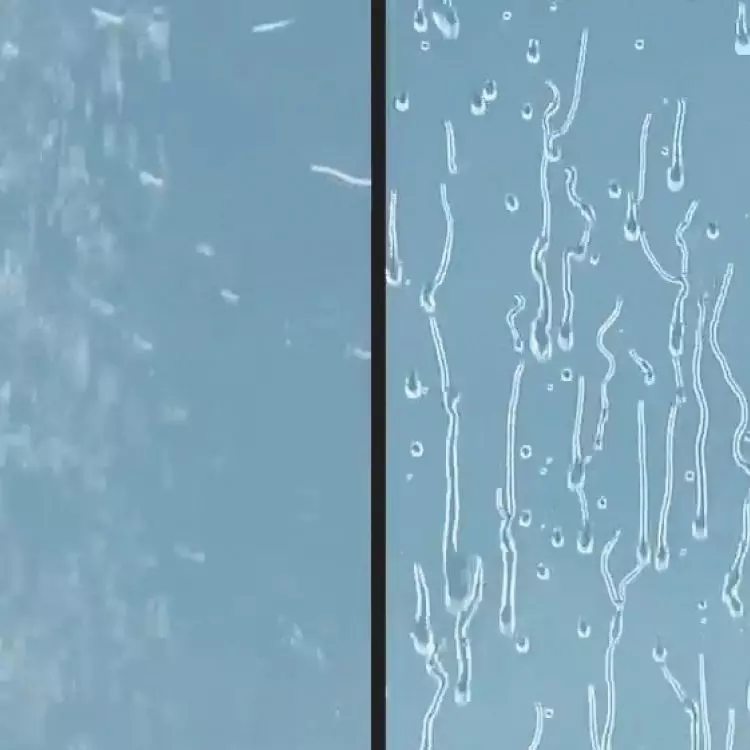 Comparison - on the left regular glass, on the right glass with a special hydrophobic layer