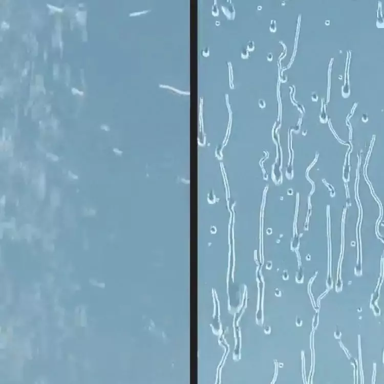 Porównanie — po lewej zwykła szyba, po prawej szkło ze specjalną warstwą hydrofobową