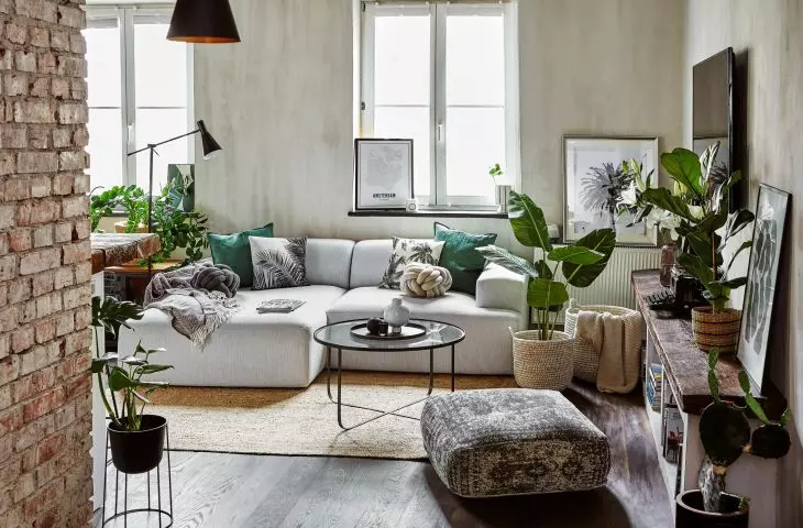 Plants will bring a breath of fresh air into the interior