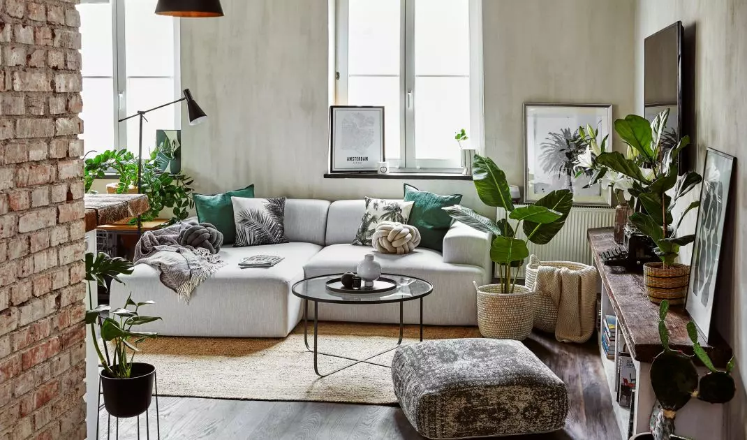 Plants will bring a breath of fresh air into the interior