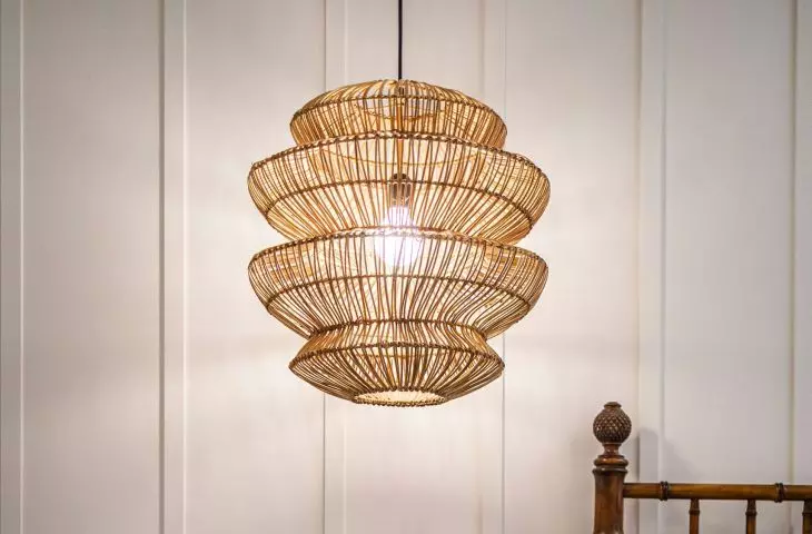 An intriguing lamp can completely transform an interior design 