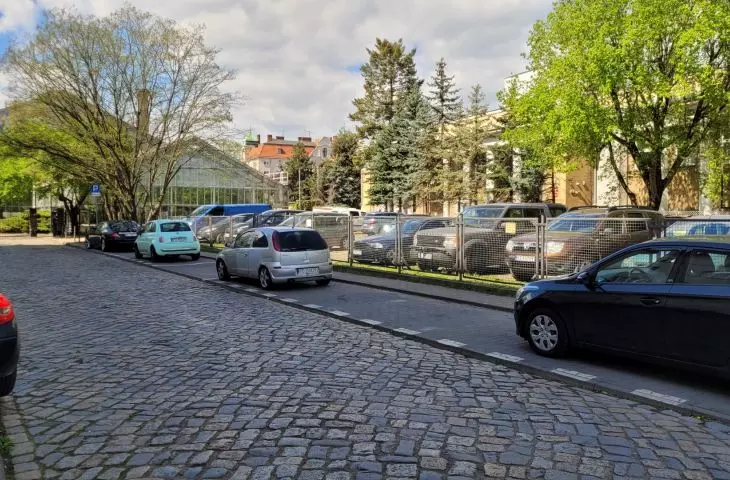 ul. Parkowa stanowiąca łącznik „zielonej rzeki” z parkiem Wilsona (palmiarnia — po lewej)